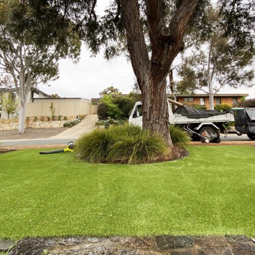 Grass and turf Maintenance by Perth Landscapers